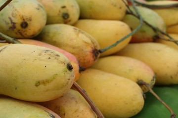 Ripe mango in street food
