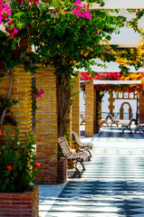 Fototapeta premium closeup on a beautiful arbor covered with climbing plants with colorful flowers, relax place