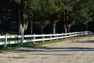 Serene country road with a white picked fence