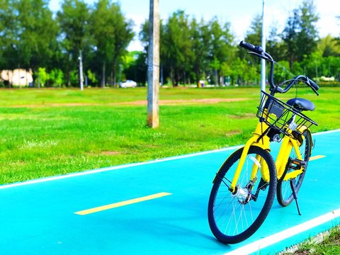 Closeup bicycle in the park 