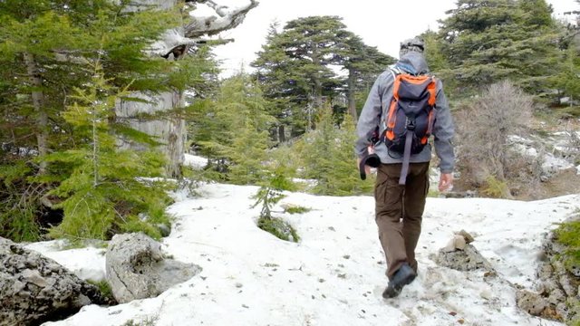 Hikers walking outdoors wearing hiker backpacks.