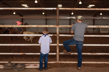 Boys watching roping, rodeo, cowboys