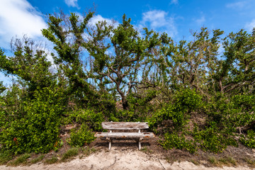 Fototapeta premium Lone Bench of Dry Tortugas