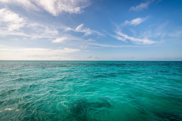 The Caribbean Sea