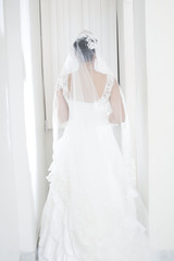 Fototapeta premium Boda