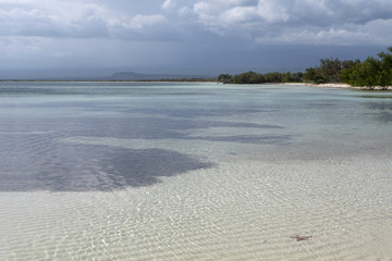 Obraz premium Starfish at the bottom of a calm sea, serenity, paradise beach