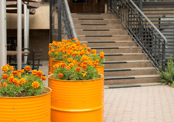 flowers in a yellow barrel