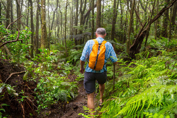 Hike in Hawaii