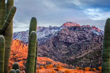 Sunset creeps over this rugged Winter scene of contrasting desert and mountains.