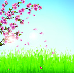 Obraz na płótnie Canvas Beautiful spring flowers and sunlight. Garden vector and eps.