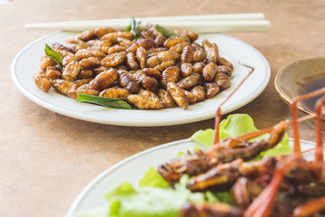 Close up of Fried insects in dish with sauce on wooden table. selective focus