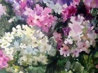 Abstract bright colored decorative background . Floral pattern handmade . Beautiful tender romantic spring bouquet of phlox flowers  , made in the technique of watercolors from nature.