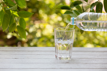 Tall bush isolated,Objects with Clipping Paths