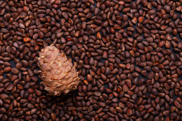 Pine nuts in shells as a background Hole cedar cone Copy space Top view