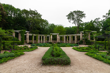 Rosengarten im Tiergarten Berlin