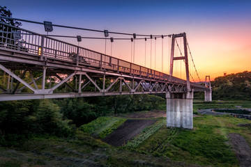 Fototapeta na wymiar Romantic Bridge over Rice Fields