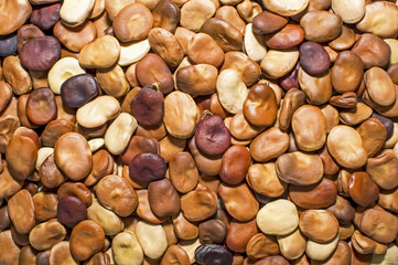 Beans are the dried seeds closeup. Background.