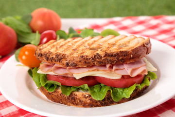 Picnic toasted ham and cheese sandwich on outdoor table