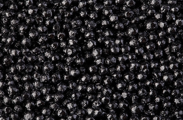 Black sturgeon caviar close-up as a background.