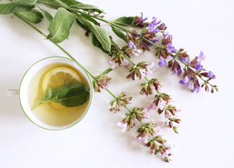 Fototapeta na wymiar Sage tea and sage leaves. Infusion made from sage leaves. Medicinal herb Salvia officinalis. The concept of healthy nutrition.