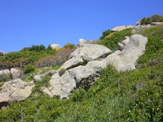 Granite rocks with mediterranean vegetation, Moon's Valley, Capo Testa, Santa Teresa Gallura, Italy