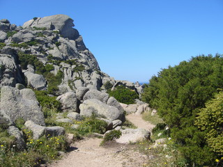 Granite rocks with mediterranean vegetation, Moon's Valley, Capo Testa, Santa Teresa Gallura, Italy