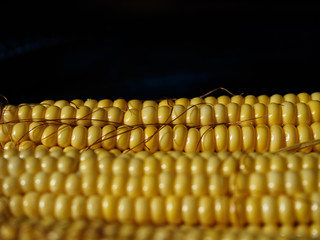 Ripe corn