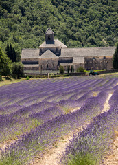 Obraz na płótnie Canvas Senanque Abbey or Abbaye Notre-Dame de Senanque with lavender field in bloom, Gordes, Provence, France