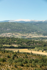 Fototapeta na wymiar Fields and meadows in valley below Sault, Provence France