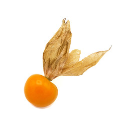Fresh cape goosebery, physalis, on white background