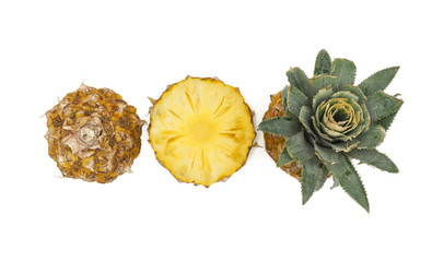 Fresh pineapple fruit with slices on white background