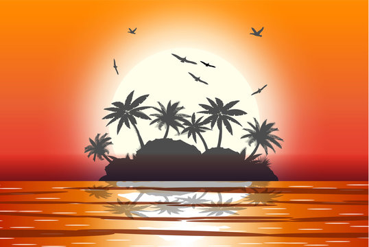 Silhouette of palm tree on beach.