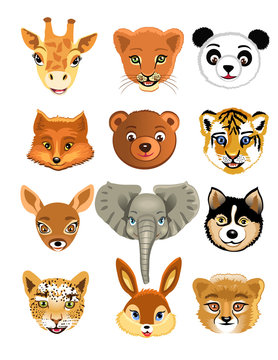vector wild animals heads isolated on a white background