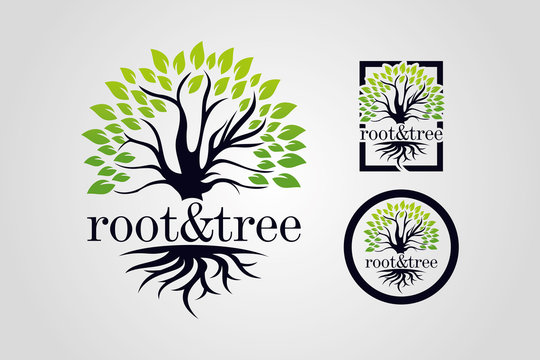 Root & Tree Logo Template Set