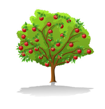 cartoon apple tree isolated on a white background