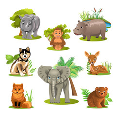 vector collection of wild animals