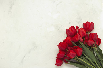 Red Tulips in the lower right corner on a light stone background. Concept gifts and surprises from a loved one. Flat lay, top view