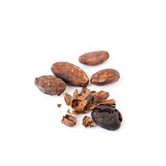 Unpeeled raw cacao beans and one cracked and peeled from husk.