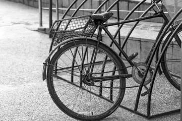 Fototapeta na wymiar The rear wheel of an old Bicycle parked in the Parking lot of a supermarket. Black and white image