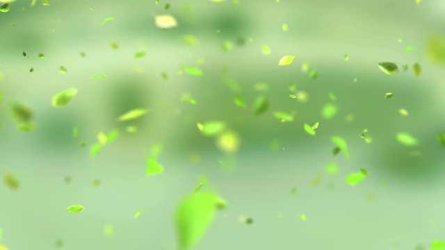 Exploding green leafs in 4K