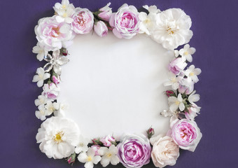 pink roses on a purple background, place for an inscription