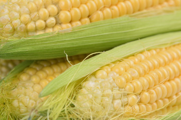 Fresh corn