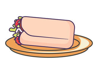 dish with mexican burrito icon over white background, vector illustration