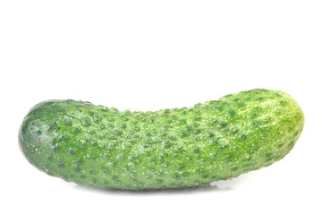 Fresh cucumber