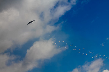 Skydivers fly across the sky