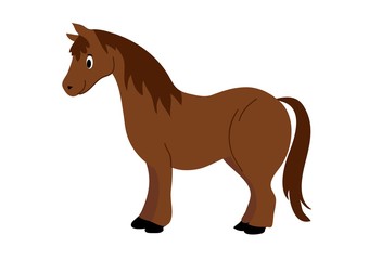 koń