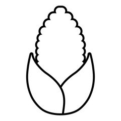 corn vegetable over white background, vector illustration