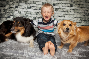 glücklich mit den Hunden