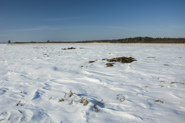 Snow drifts on the field