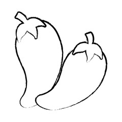 chili peppers over white background, vector illustration